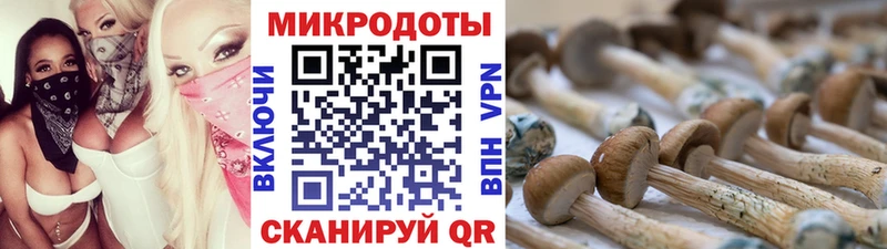 Галлюциногенные грибы Magic Shrooms  Купить закладки  Верхняя Тура 